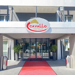 Cavallo Noventa di Piave